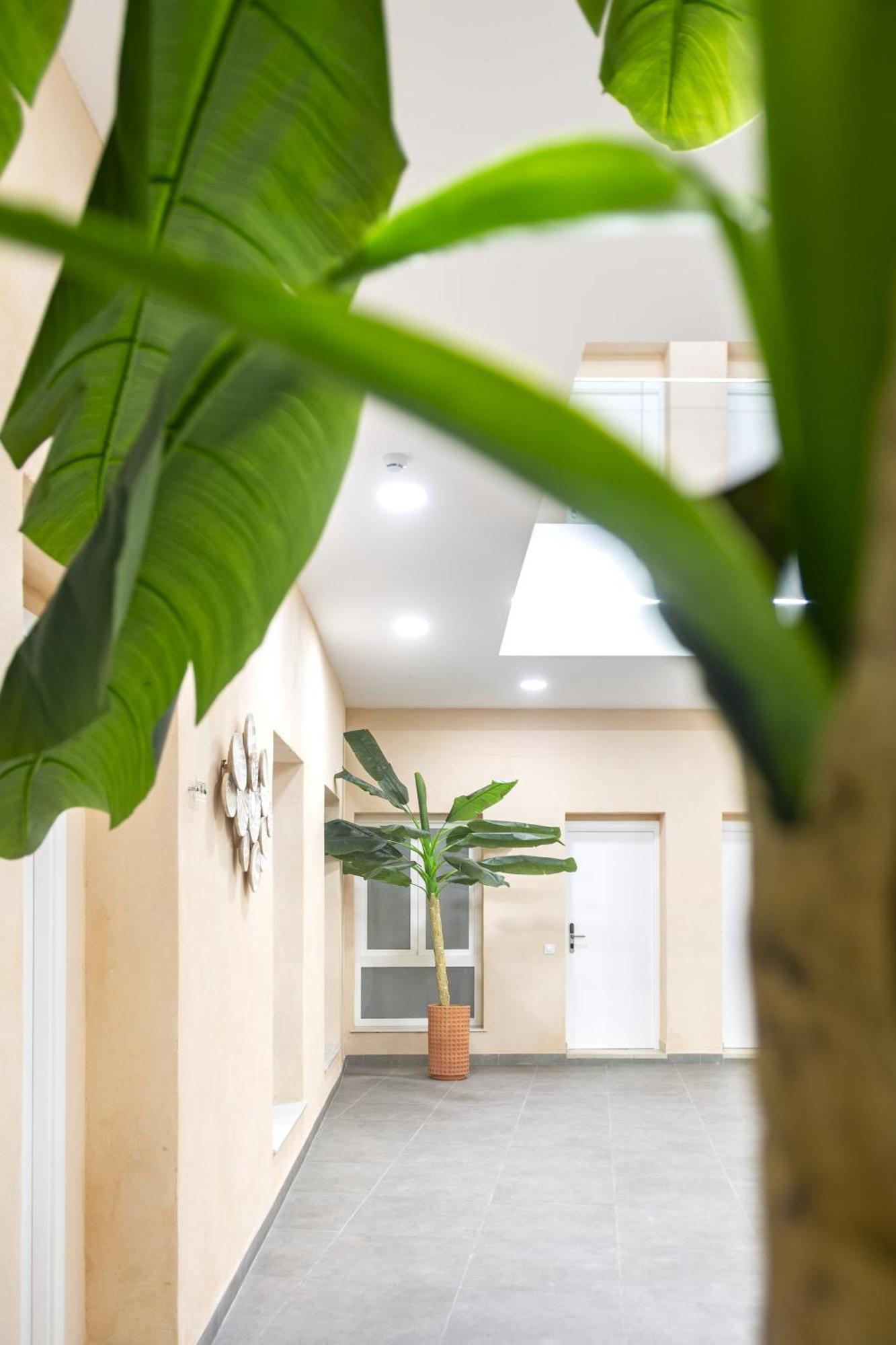 Apartamentos La Tahona 카디스 외부 사진